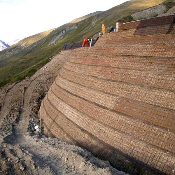 reinforcement and protection works