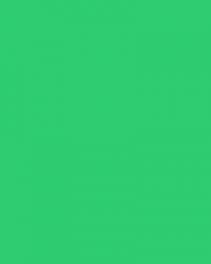 placeholder21