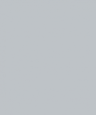 placeholder28