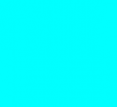 placeholder30