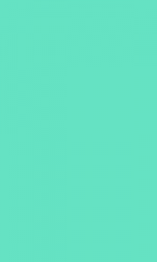 placeholder31